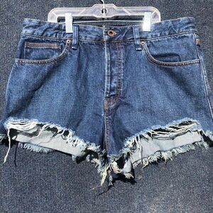 Free people denim shorts